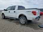 2013 FORD F-150 Lightning