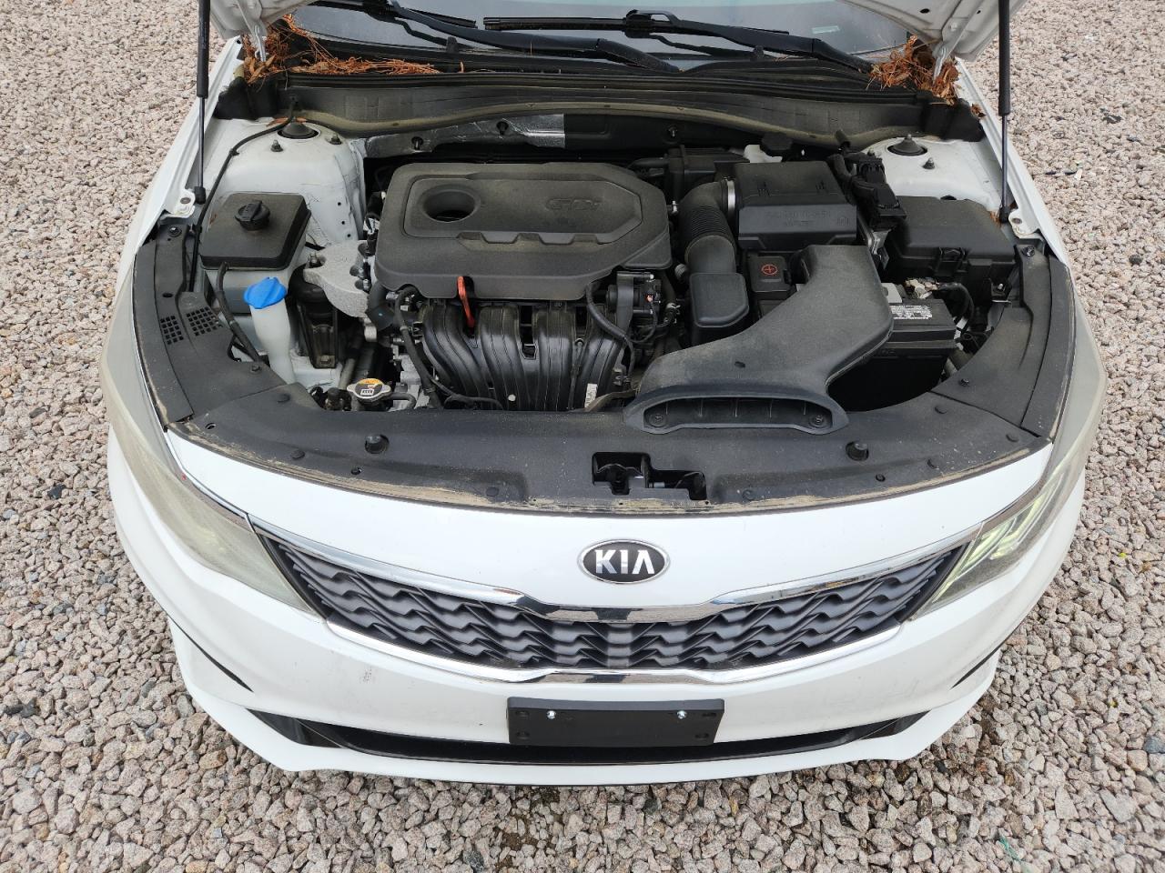 2019 KIA OPTIMA