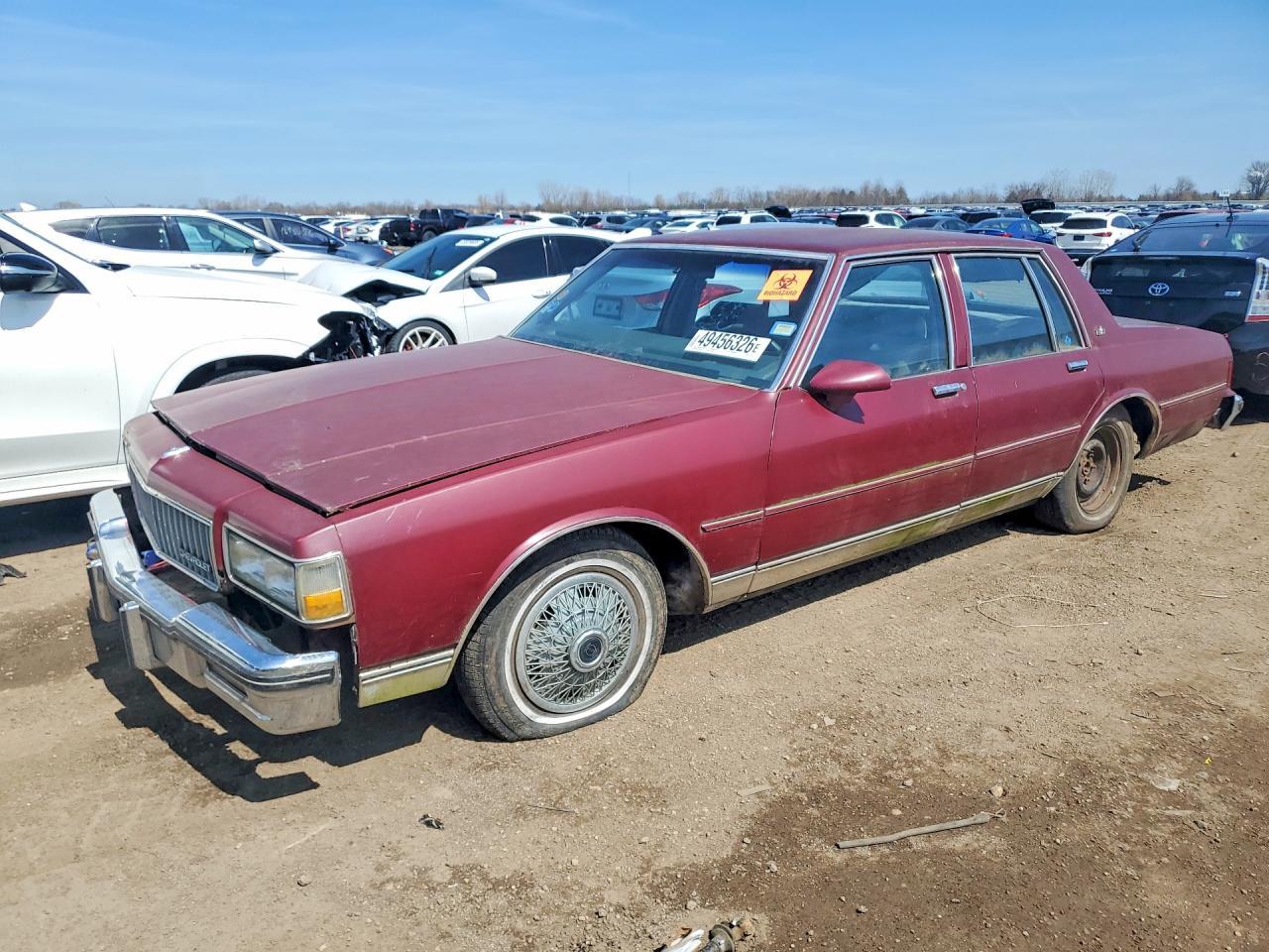 1981 CHEVROLET CAPRICE