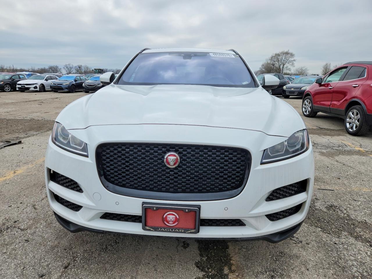 2019 JAGUAR F-Pace