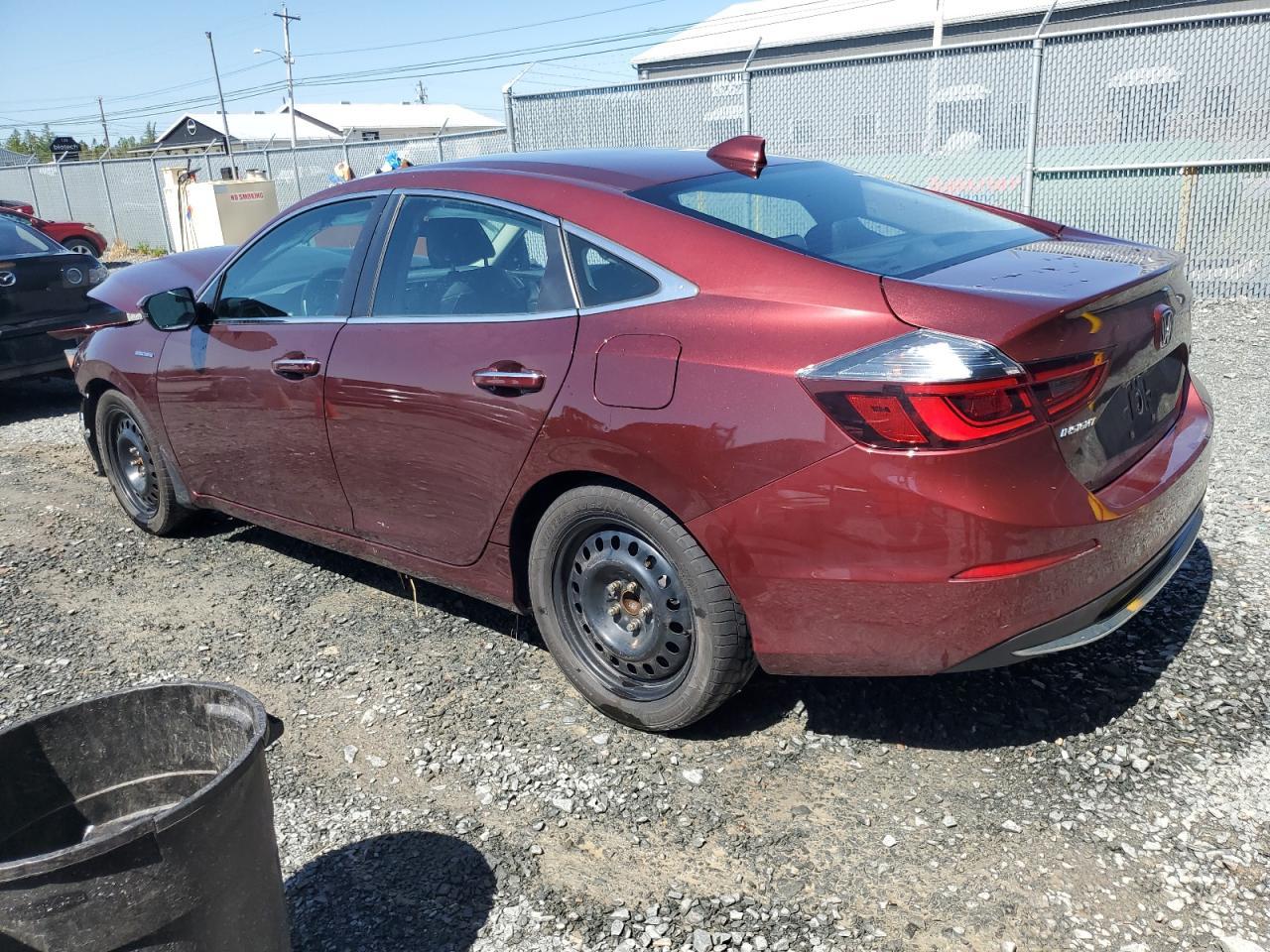 2019 HONDA Insight