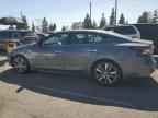 2020 NISSAN Maxima