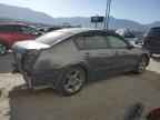 2006 NISSAN Maxima