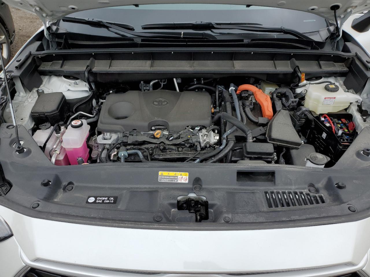 2025 TOYOTA HIGHLANDER