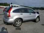 2010 HONDA CR-V