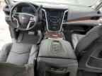 2019 CADILLAC ESCALADE