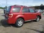 2009 FORD ESCAPE