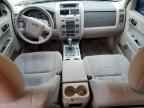 2010 FORD ESCAPE