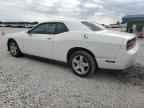 2014 DODGE Challenger