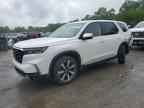 2024 HONDA PILOT