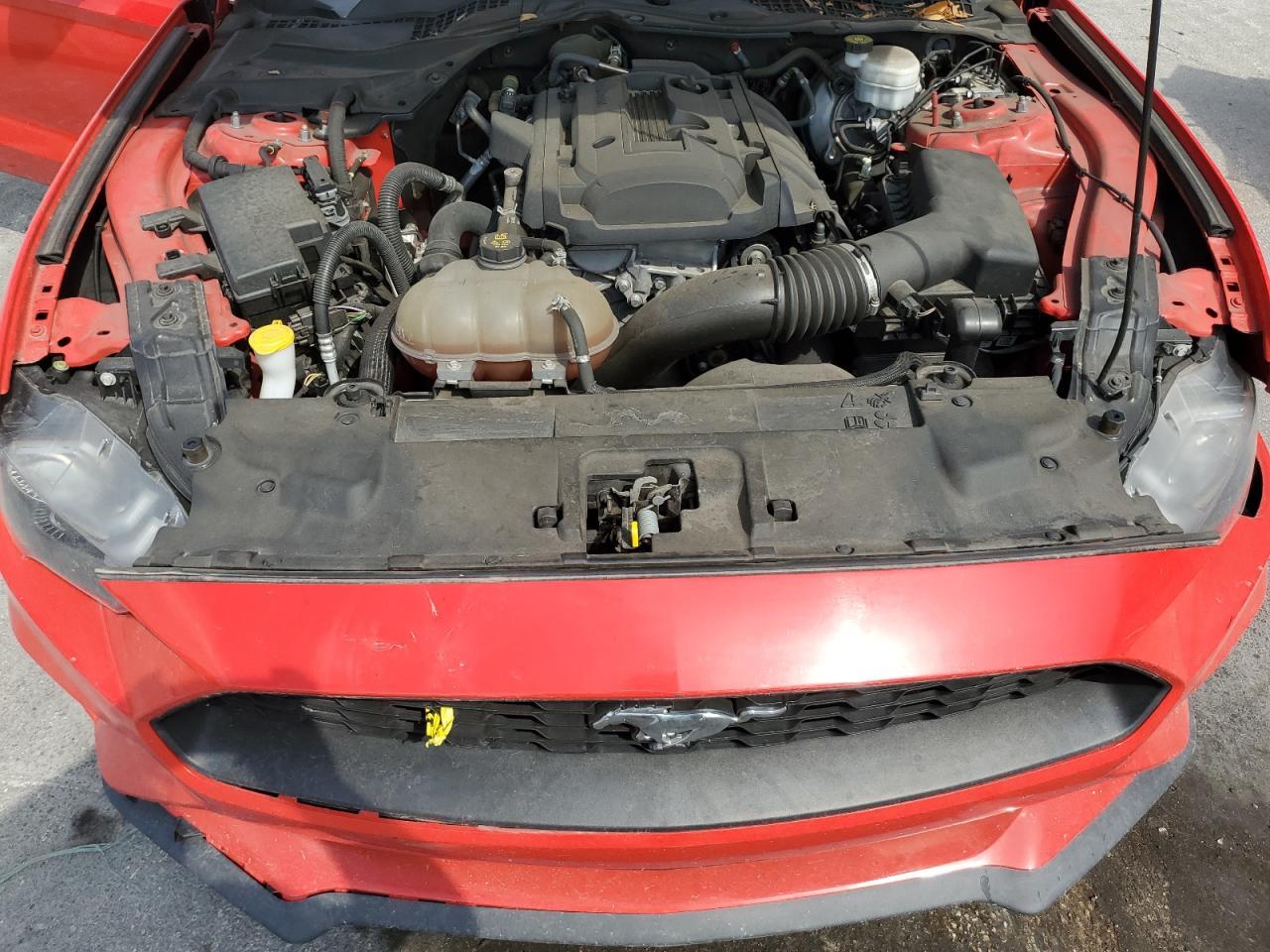 2019 FORD MUSTANG