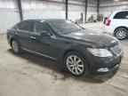 2007 LEXUS LS 460