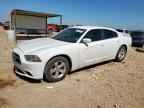 2014 DODGE CHARGER