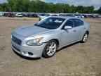 2013 NISSAN Maxima