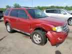 2009 FORD ESCAPE