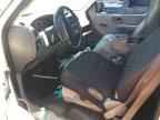 1999 FORD F-150