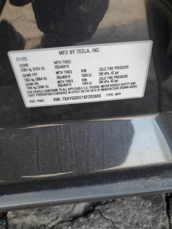 2025 TESLA MODEL Y