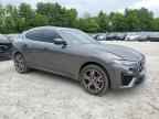 2017 MASERATI Levante