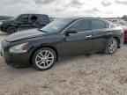 2010 NISSAN Maxima