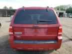 2009 FORD ESCAPE