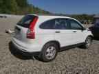 2010 HONDA CR-V
