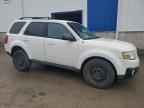 2010 MAZDA Tribute