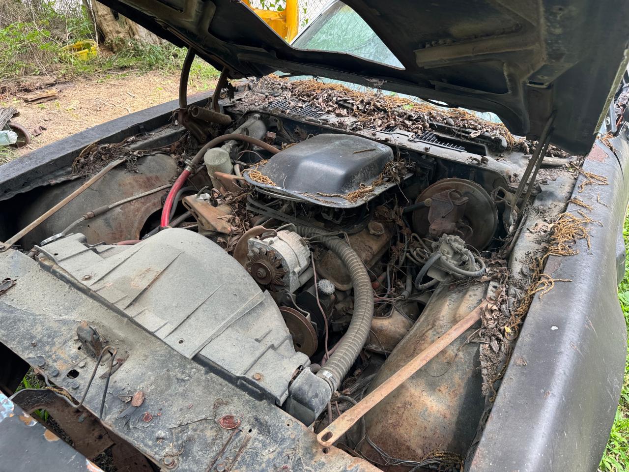 1978 PONTIAC Trans Am