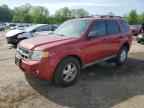 2009 FORD ESCAPE