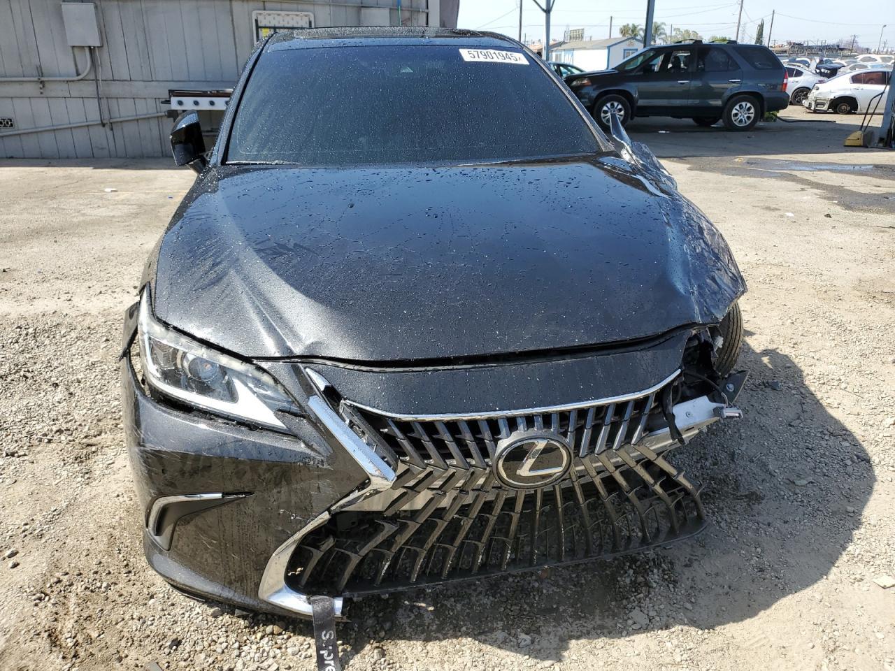 2019 LEXUS ES 350