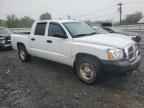 2006 DODGE Dakota