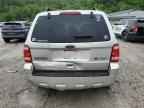 2010 FORD ESCAPE
