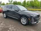 2024 CADILLAC XT6