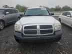 2006 DODGE Dakota