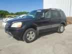 2003 HONDA PILOT