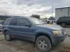 2006 FORD ESCAPE