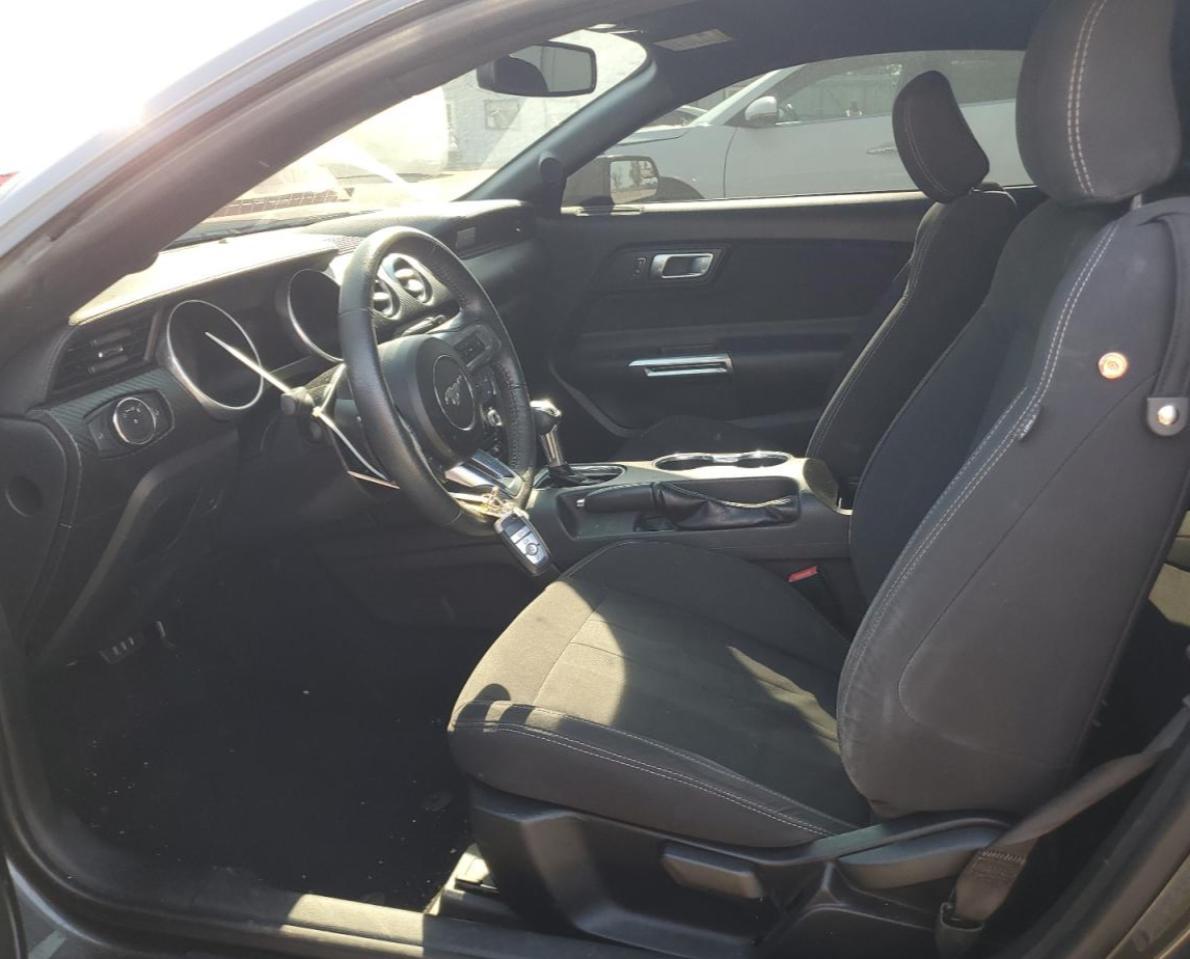 2019 FORD MUSTANG