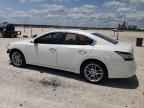 2013 NISSAN Maxima