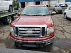 2009 FORD F-150