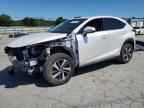 2019 LEXUS Nx