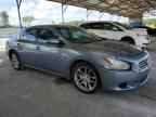 2010 NISSAN Maxima