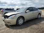 2010 NISSAN ALTIMA