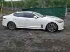 2019 KIA Stinger
