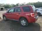 2009 FORD ESCAPE