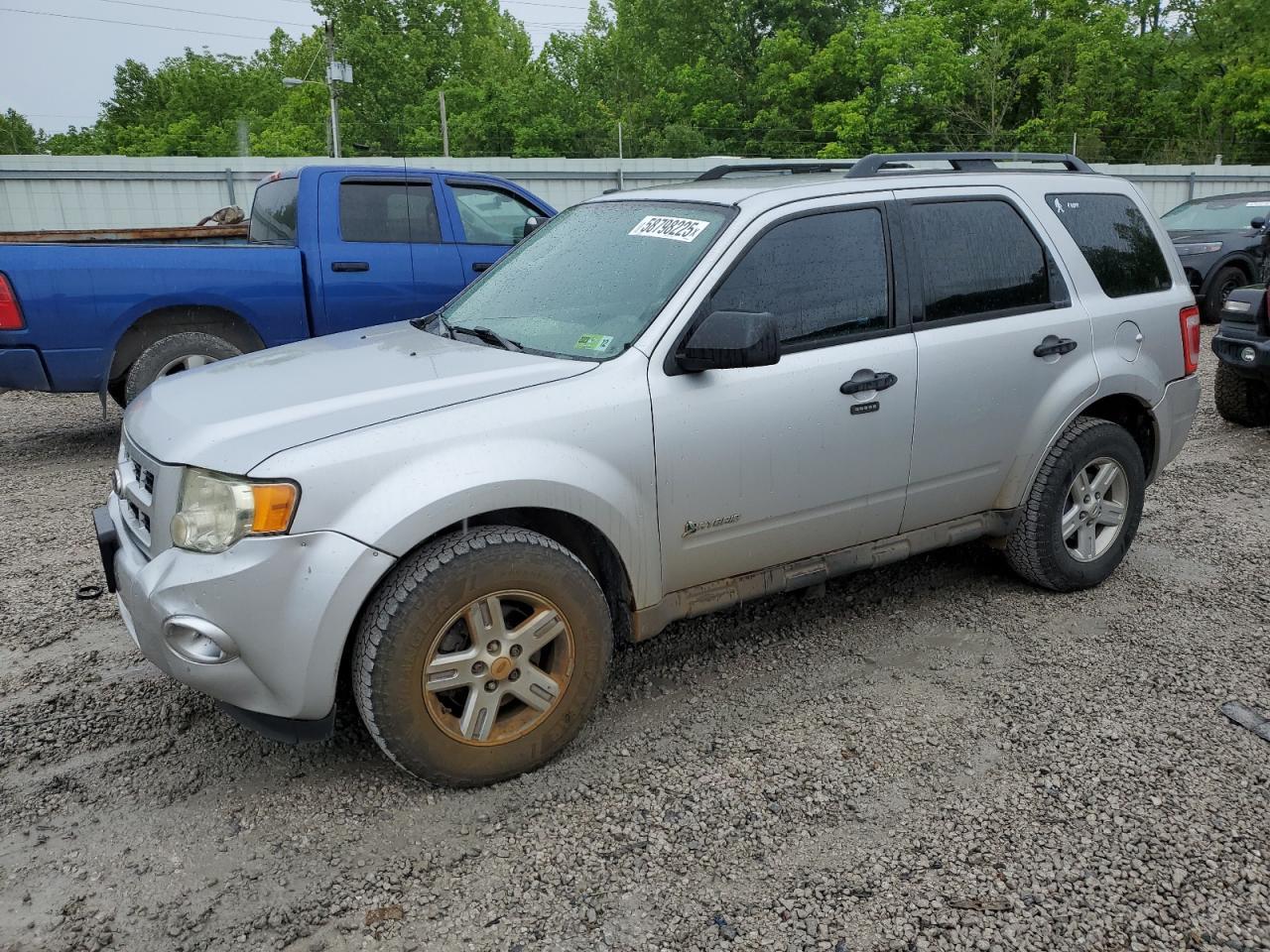2010 FORD ESCAPE