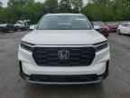 2024 HONDA PILOT