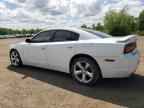 2013 DODGE CHARGER