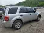 2010 FORD ESCAPE