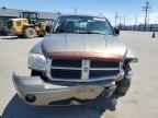 2006 DODGE Dakota