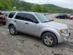 2010 FORD ESCAPE