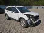 2010 HONDA CR-V